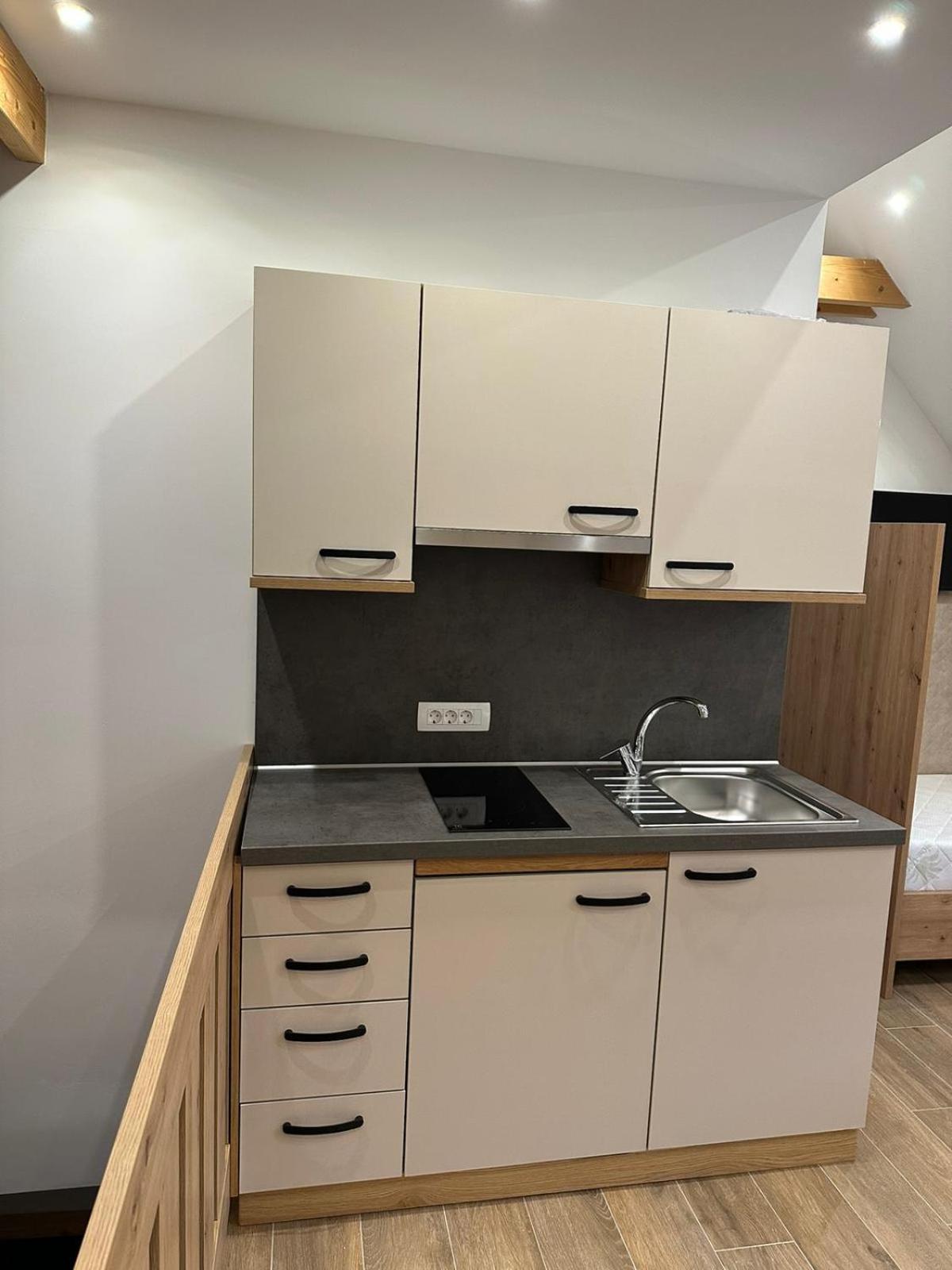 Apartments Viktor Rateče Kamer foto
